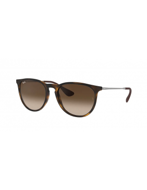 Ray-Ban Erika 4171L 865/12
